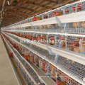 A type layer breeder chicken battery laying cage for sale for Nigeria